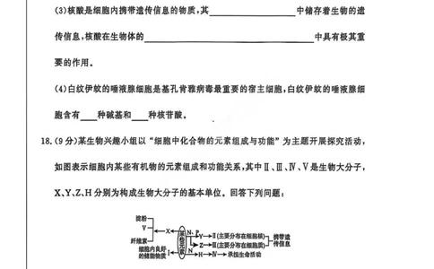 生物试卷_2025年11月高一试卷_251127河南青铜鸣大联考2025-2026学年上学期高一期中考试（全）_河南青铜鸣大联考2025-2026学年上学期高一期中考试生物试题含答案