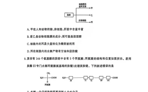 生物试卷_2025年11月高一试卷_251127河南青铜鸣大联考2025-2026学年上学期高一期中考试（全）_河南青铜鸣大联考2025-2026学年上学期高一期中考试生物试题含答案