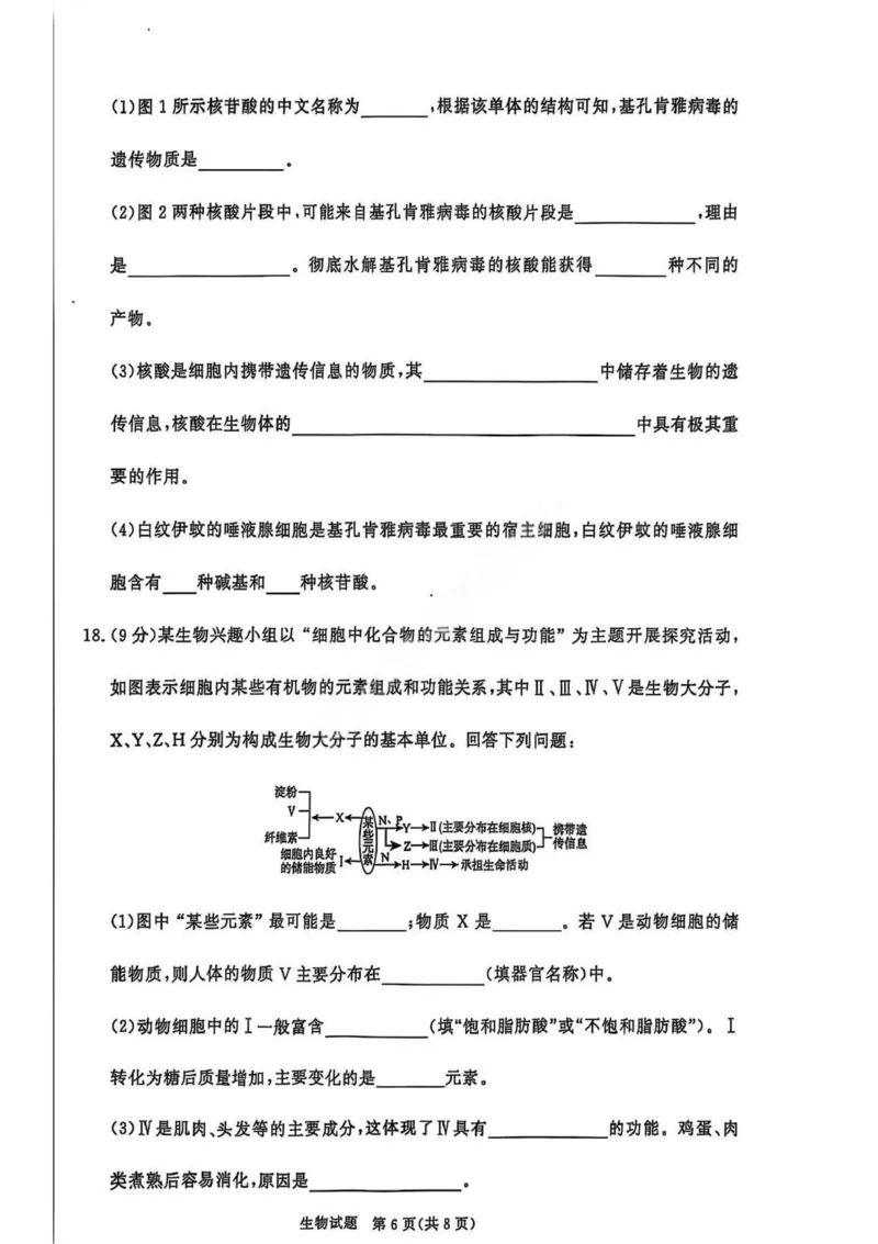 生物试卷_2025年11月高一试卷_251127河南青铜鸣大联考2025-2026学年上学期高一期中考试（全）_河南青铜鸣大联考2025-2026学年上学期高一期中考试生物试题含答案