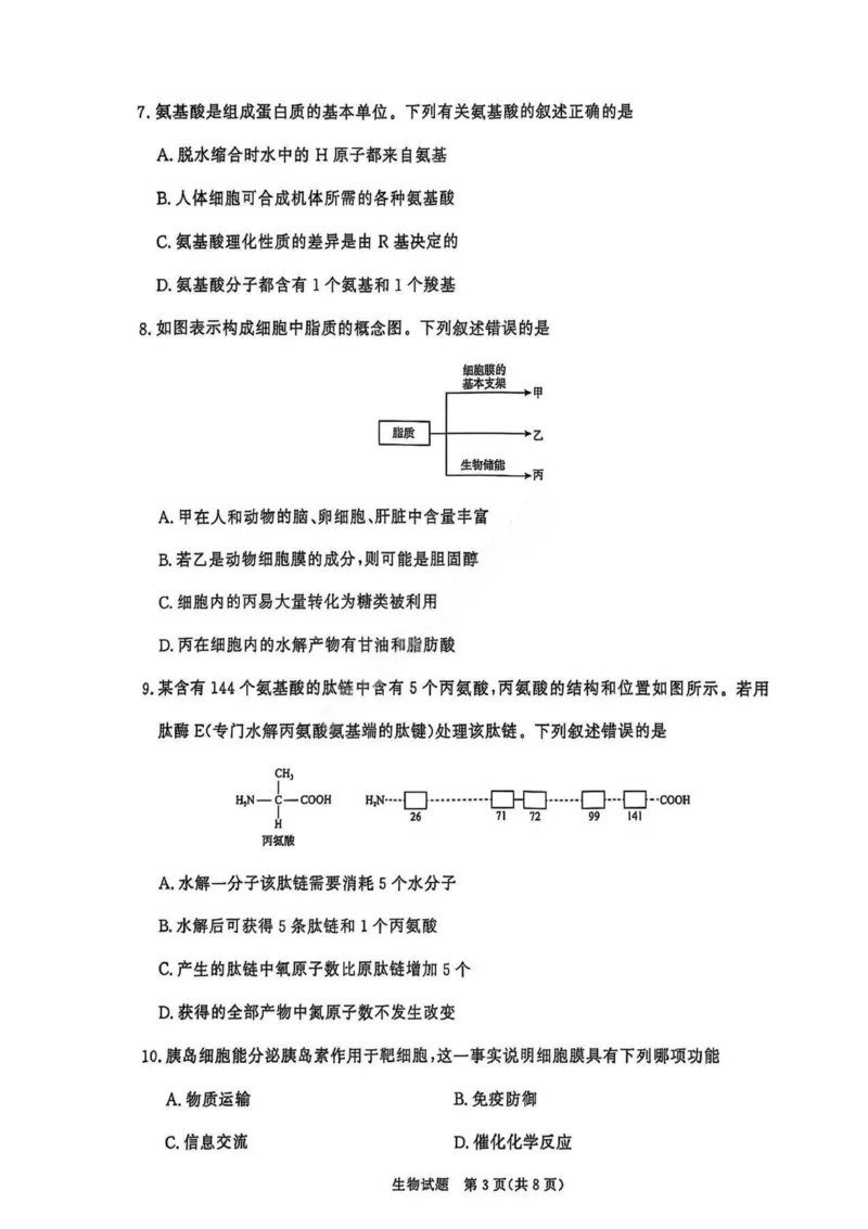 生物试卷_2025年11月高一试卷_251127河南青铜鸣大联考2025-2026学年上学期高一期中考试（全）_河南青铜鸣大联考2025-2026学年上学期高一期中考试生物试题含答案
