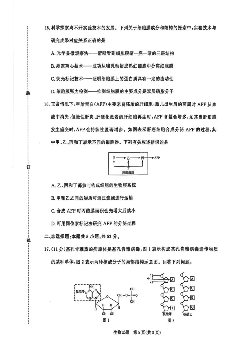 生物试卷_2025年11月高一试卷_251127河南青铜鸣大联考2025-2026学年上学期高一期中考试（全）_河南青铜鸣大联考2025-2026学年上学期高一期中考试生物试题含答案