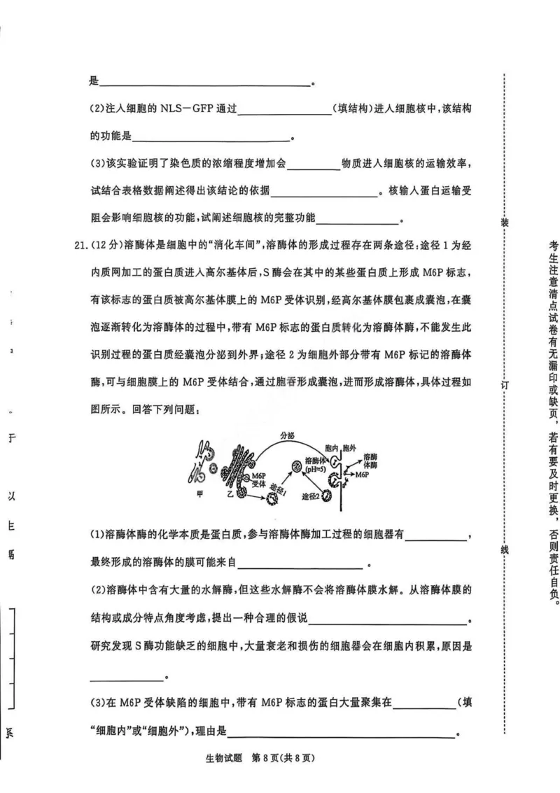 生物试卷_2025年11月高一试卷_251127河南青铜鸣大联考2025-2026学年上学期高一期中考试（全）_河南青铜鸣大联考2025-2026学年上学期高一期中考试生物试题含答案