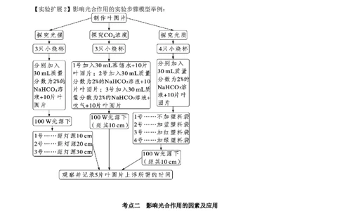 第10.2讲光合作用的影响因素和应用（讲义）（教师版）_新高考复习资料_2024年新高考复习资料_一轮复习资料_完2024年高考生物一轮复习讲练测(课件+讲义+练习)（新高考）_讲义+练习