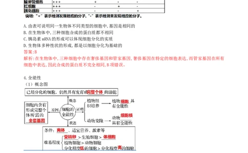 第14讲细胞的分化、衰老、死亡和癌变（讲义）（教师版）_新高考复习资料_2024年新高考复习资料_一轮复习资料_完2024年高考生物一轮复习讲练测(课件+讲义+练习)（新高考）_讲义+练习