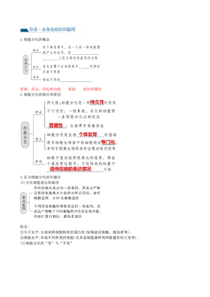 第14讲细胞的分化、衰老、死亡和癌变（讲义）（教师版）_新高考复习资料_2024年新高考复习资料_一轮复习资料_完2024年高考生物一轮复习讲练测(课件+讲义+练习)（新高考）_讲义+练习
