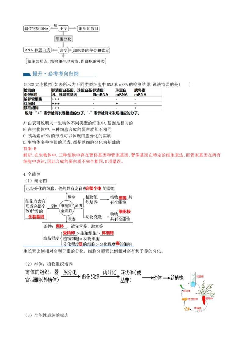 第14讲细胞的分化、衰老、死亡和癌变（讲义）（教师版）_新高考复习资料_2024年新高考复习资料_一轮复习资料_完2024年高考生物一轮复习讲练测(课件+讲义+练习)（新高考）_讲义+练习