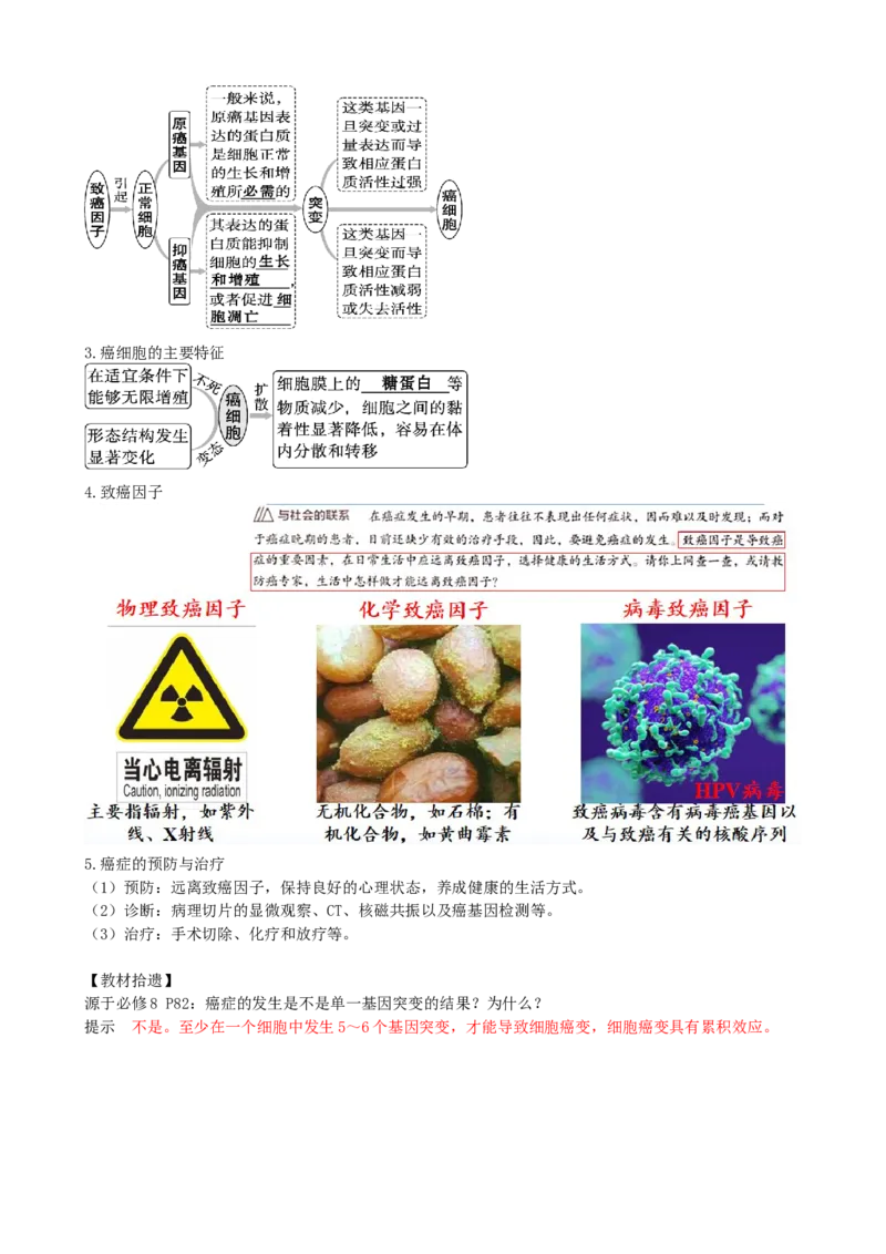 第14讲细胞的分化、衰老、死亡和癌变（讲义）（教师版）_新高考复习资料_2024年新高考复习资料_一轮复习资料_完2024年高考生物一轮复习讲练测(课件+讲义+练习)（新高考）_讲义+练习