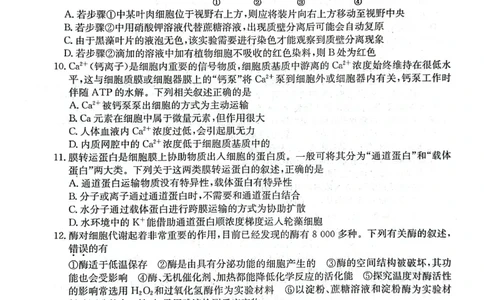 生物试题_2024年12月试卷_1201金太阳河北省联考2024-2025学年高一上学期第三次月考11月_河北省联考2024-2025学年高一上学期第三次月考11月月考生物试题含答案