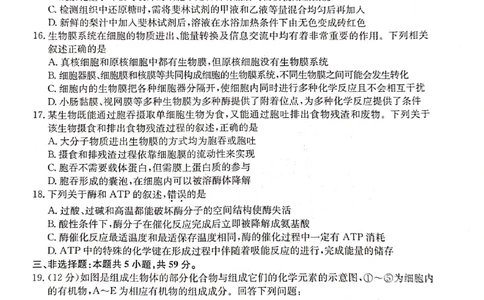 生物试题_2024年12月试卷_1201金太阳河北省联考2024-2025学年高一上学期第三次月考11月_河北省联考2024-2025学年高一上学期第三次月考11月月考生物试题含答案