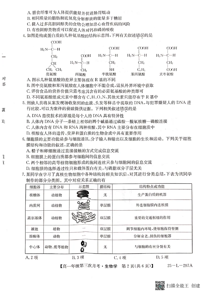 生物试题_2024年12月试卷_1201金太阳河北省联考2024-2025学年高一上学期第三次月考11月_河北省联考2024-2025学年高一上学期第三次月考11月月考生物试题含答案
