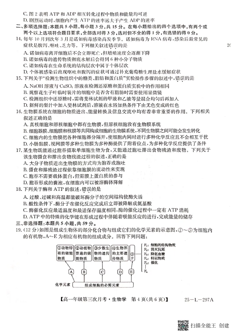 生物试题_2024年12月试卷_1201金太阳河北省联考2024-2025学年高一上学期第三次月考11月_河北省联考2024-2025学年高一上学期第三次月考11月月考生物试题含答案