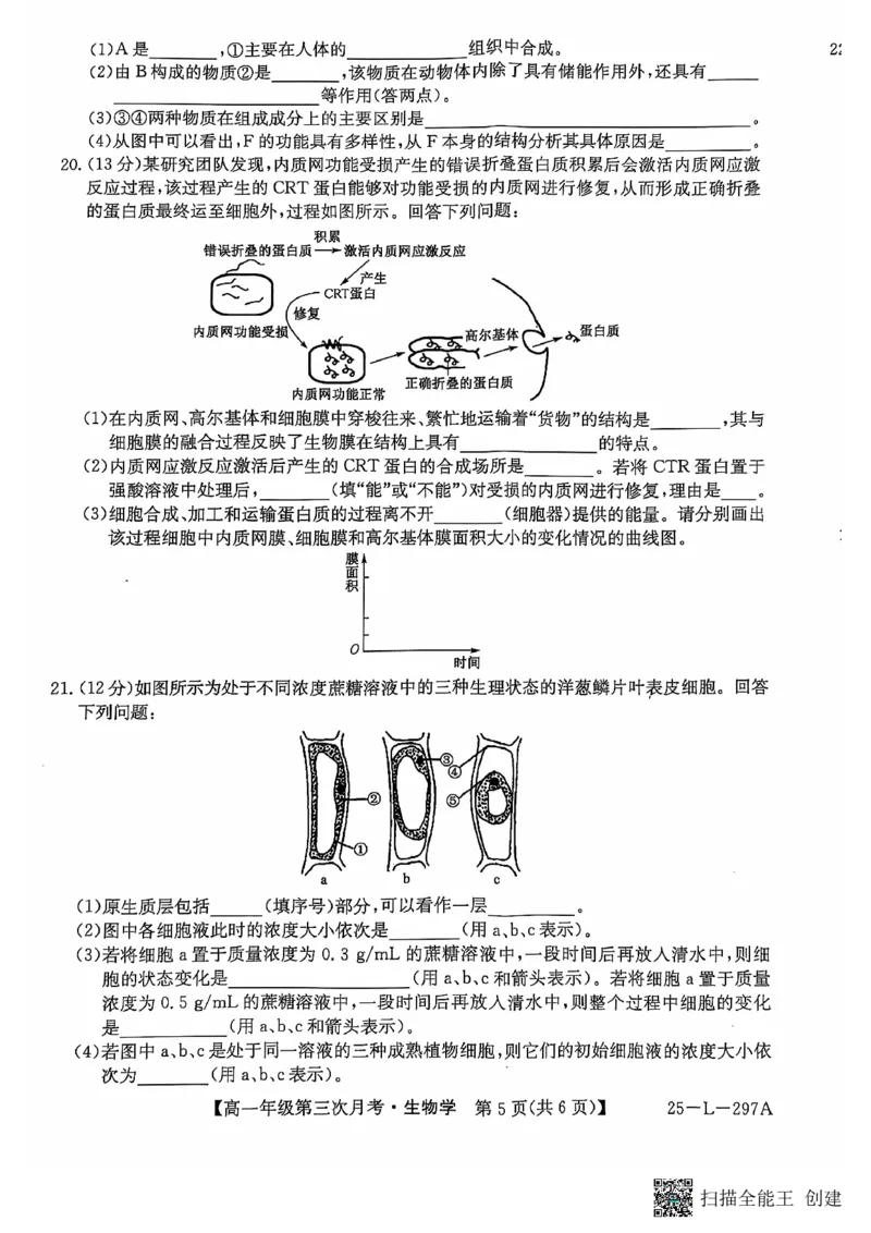 生物试题_2024年12月试卷_1201金太阳河北省联考2024-2025学年高一上学期第三次月考11月_河北省联考2024-2025学年高一上学期第三次月考11月月考生物试题含答案