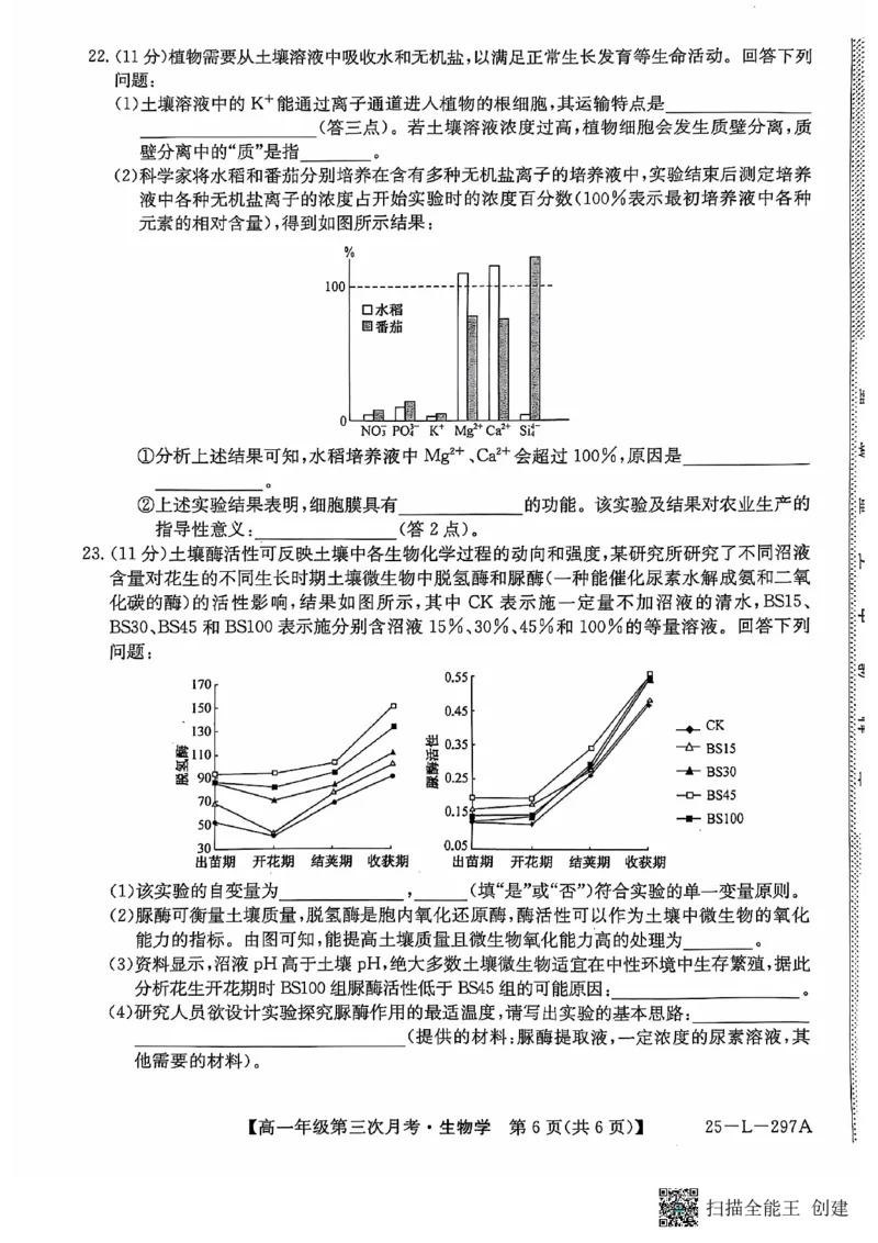 生物试题_2024年12月试卷_1201金太阳河北省联考2024-2025学年高一上学期第三次月考11月_河北省联考2024-2025学年高一上学期第三次月考11月月考生物试题含答案