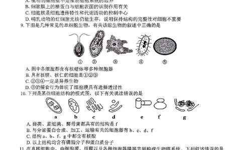 生物试题_2024年12月试卷_1220河南省驻马店市环际大联考&ldquo;逐梦计划&rdquo;2024-2025学年高一上学期阶段性考试（三）