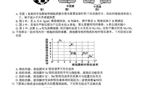 生物试题_2024年12月试卷_1220河南省驻马店市环际大联考&ldquo;逐梦计划&rdquo;2024-2025学年高一上学期阶段性考试（三）