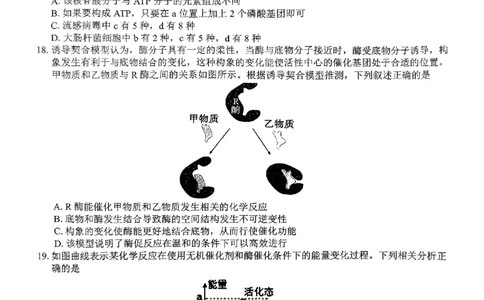 生物试题_2024年12月试卷_1220河南省驻马店市环际大联考&ldquo;逐梦计划&rdquo;2024-2025学年高一上学期阶段性考试（三）