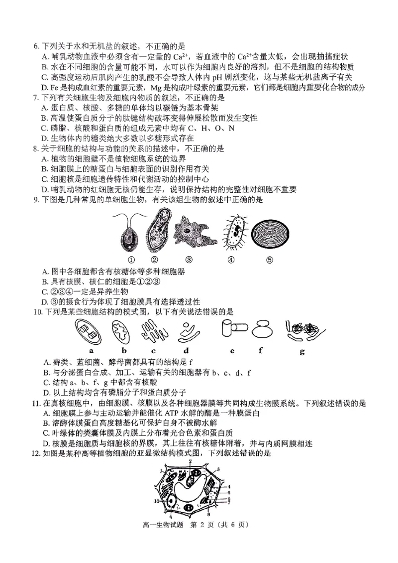 生物试题_2024年12月试卷_1220河南省驻马店市环际大联考&ldquo;逐梦计划&rdquo;2024-2025学年高一上学期阶段性考试（三）