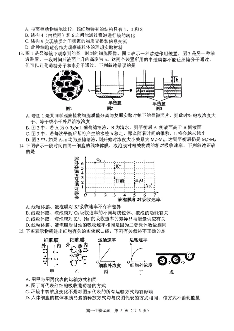生物试题_2024年12月试卷_1220河南省驻马店市环际大联考&ldquo;逐梦计划&rdquo;2024-2025学年高一上学期阶段性考试（三）