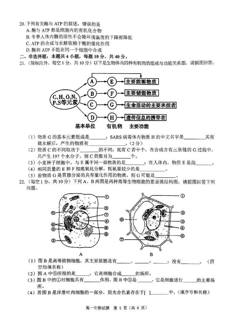 生物试题_2024年12月试卷_1220河南省驻马店市环际大联考&ldquo;逐梦计划&rdquo;2024-2025学年高一上学期阶段性考试（三）