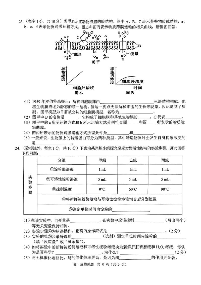 生物试题_2024年12月试卷_1220河南省驻马店市环际大联考&ldquo;逐梦计划&rdquo;2024-2025学年高一上学期阶段性考试（三）