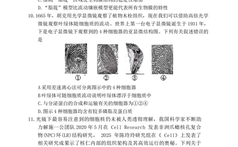 生物学试题2025年11月高一期中联考_2025年12月高一试卷_251203湖南省三新联盟联考2025-2026学年高一上学期11月期中_湖南省三新联盟联考2025-2026学年高一上学期11月期中生物试题Word版含解析