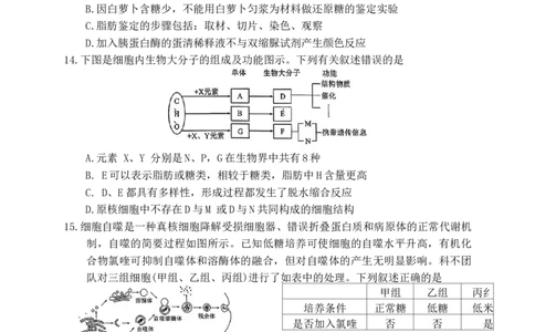 生物学试题2025年11月高一期中联考_2025年12月高一试卷_251203湖南省三新联盟联考2025-2026学年高一上学期11月期中_湖南省三新联盟联考2025-2026学年高一上学期11月期中生物试题Word版含解析