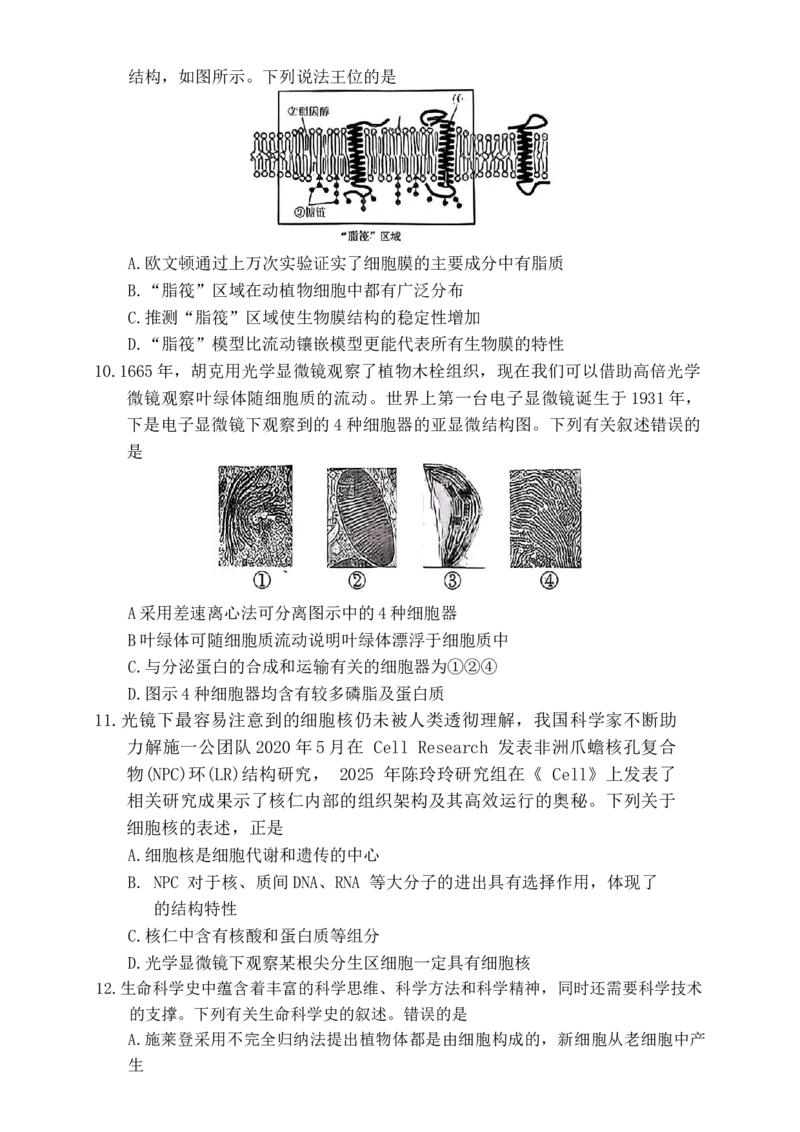 生物学试题2025年11月高一期中联考_2025年12月高一试卷_251203湖南省三新联盟联考2025-2026学年高一上学期11月期中_湖南省三新联盟联考2025-2026学年高一上学期11月期中生物试题Word版含解析