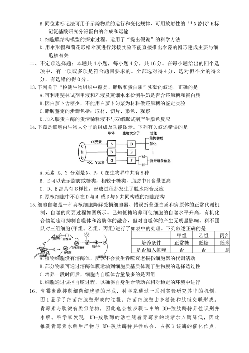 生物学试题2025年11月高一期中联考_2025年12月高一试卷_251203湖南省三新联盟联考2025-2026学年高一上学期11月期中_湖南省三新联盟联考2025-2026学年高一上学期11月期中生物试题Word版含解析