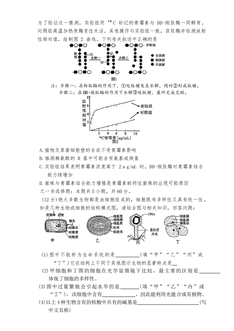 生物学试题2025年11月高一期中联考_2025年12月高一试卷_251203湖南省三新联盟联考2025-2026学年高一上学期11月期中_湖南省三新联盟联考2025-2026学年高一上学期11月期中生物试题Word版含解析
