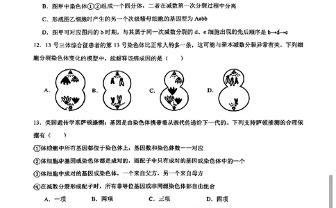 生物-辽宁省实验中学2025-2026学年高一下第一次月考_2026年04月高一试卷_260412辽宁省实验中学2025-2026学年高一下第一次月考