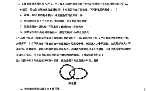 生物-辽宁省实验中学2025-2026学年高一下第一次月考_2026年04月高一试卷_260412辽宁省实验中学2025-2026学年高一下第一次月考