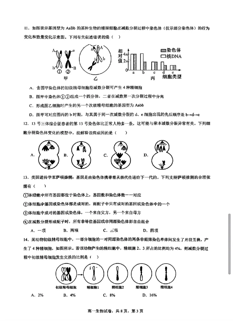 生物-辽宁省实验中学2025-2026学年高一下第一次月考_2026年04月高一试卷_260412辽宁省实验中学2025-2026学年高一下第一次月考