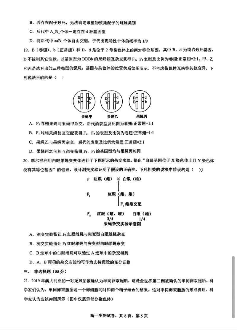 生物-辽宁省实验中学2025-2026学年高一下第一次月考_2026年04月高一试卷_260412辽宁省实验中学2025-2026学年高一下第一次月考