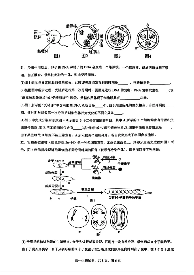 生物-辽宁省实验中学2025-2026学年高一下第一次月考_2026年04月高一试卷_260412辽宁省实验中学2025-2026学年高一下第一次月考
