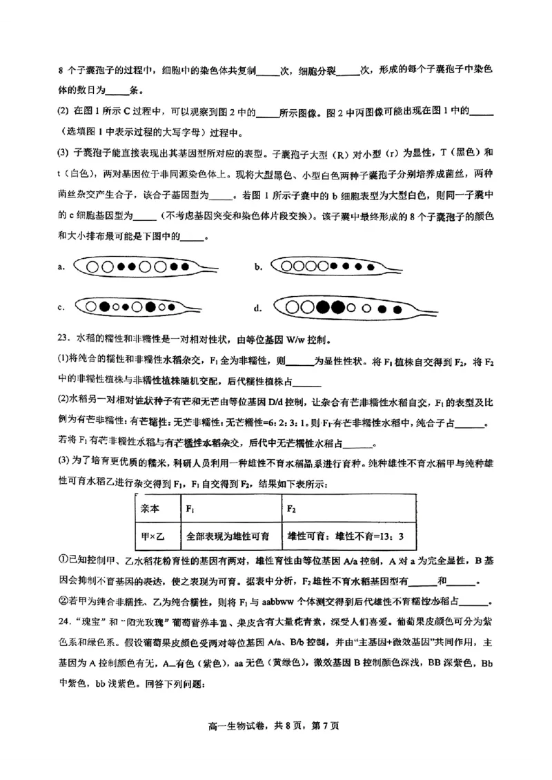 生物-辽宁省实验中学2025-2026学年高一下第一次月考_2026年04月高一试卷_260412辽宁省实验中学2025-2026学年高一下第一次月考