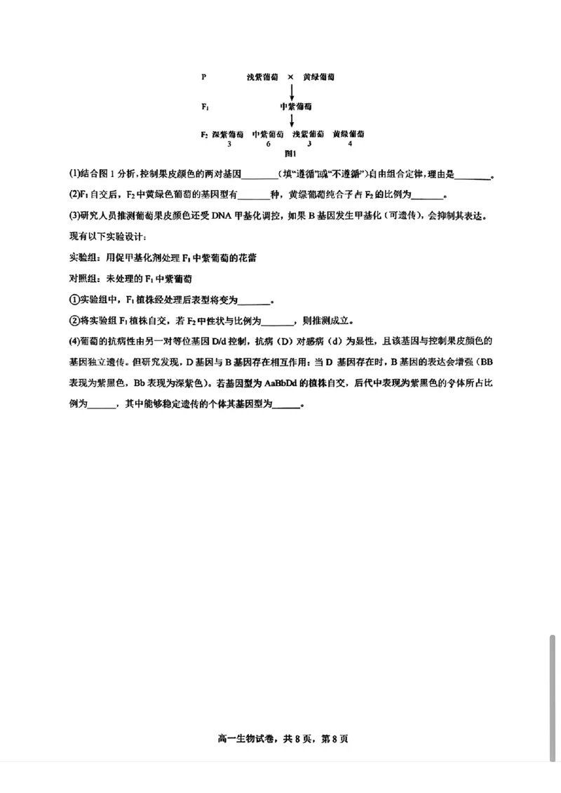 生物-辽宁省实验中学2025-2026学年高一下第一次月考_2026年04月高一试卷_260412辽宁省实验中学2025-2026学年高一下第一次月考