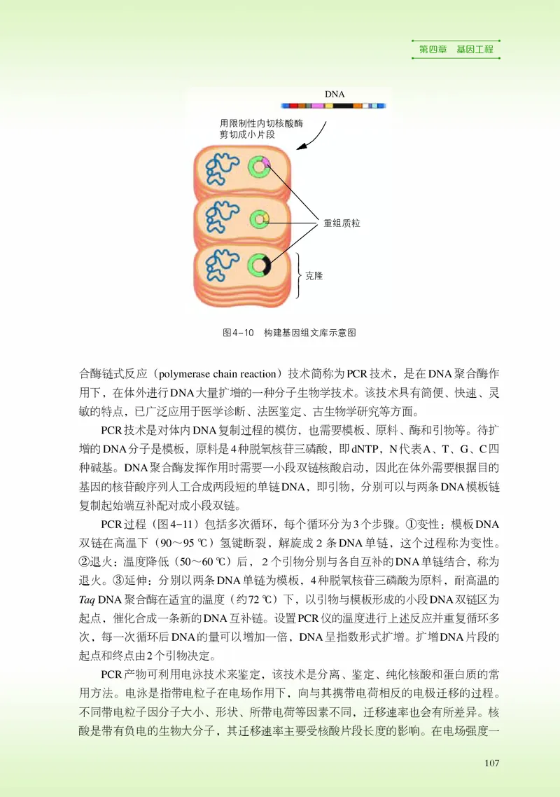 浙科版生物选修3_电子课本_最新版高中全科高清电子课本_6高中生物课本_2019新浙科版