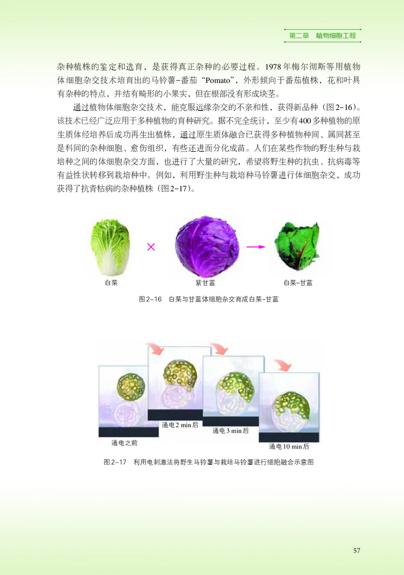 浙科版生物选修3_电子课本_最新版高中全科高清电子课本_6高中生物课本_2019新浙科版