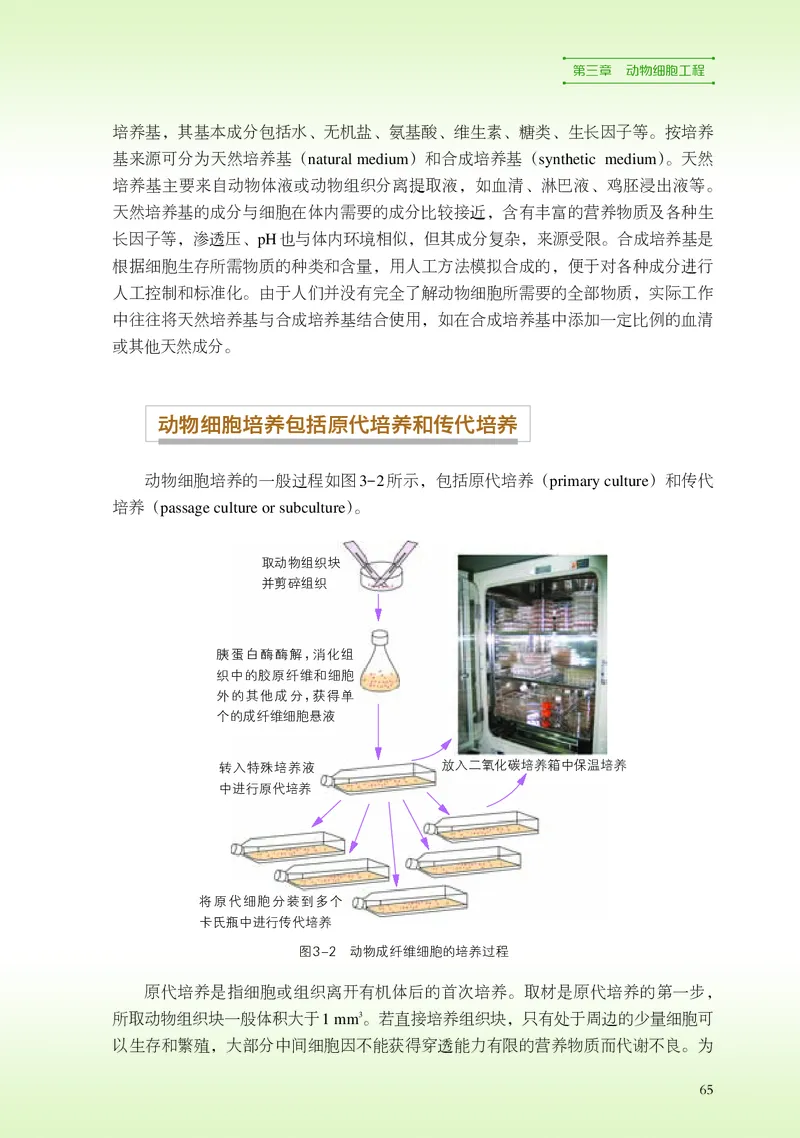 浙科版生物选修3_电子课本_最新版高中全科高清电子课本_6高中生物课本_2019新浙科版