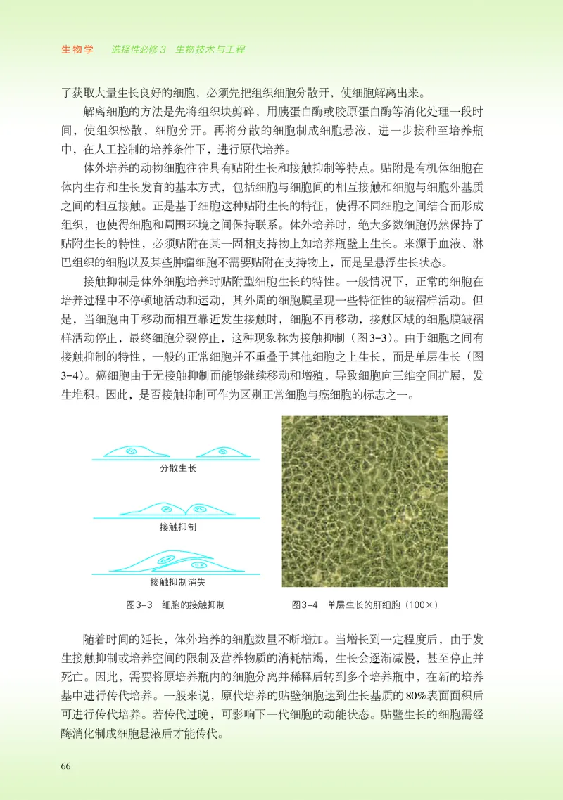 浙科版生物选修3_电子课本_最新版高中全科高清电子课本_6高中生物课本_2019新浙科版