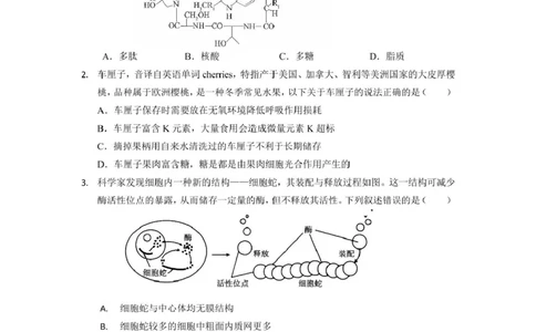 生物_2025年03月试卷_0304广东实验中学2024-2025学年高一下学期开学考试_广东省广州市越秀区实验中学2024-2025学年高一下学期开学考试生物学试题（PDF版，含答案）