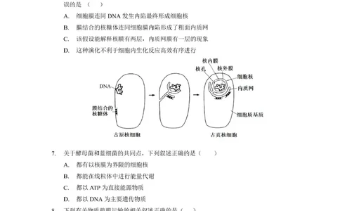 生物_2025年03月试卷_0304广东实验中学2024-2025学年高一下学期开学考试_广东省广州市越秀区实验中学2024-2025学年高一下学期开学考试生物学试题（PDF版，含答案）