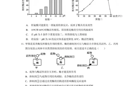 生物_2025年03月试卷_0304广东实验中学2024-2025学年高一下学期开学考试_广东省广州市越秀区实验中学2024-2025学年高一下学期开学考试生物学试题（PDF版，含答案）