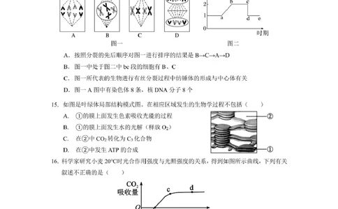 生物_2025年03月试卷_0304广东实验中学2024-2025学年高一下学期开学考试_广东省广州市越秀区实验中学2024-2025学年高一下学期开学考试生物学试题（PDF版，含答案）