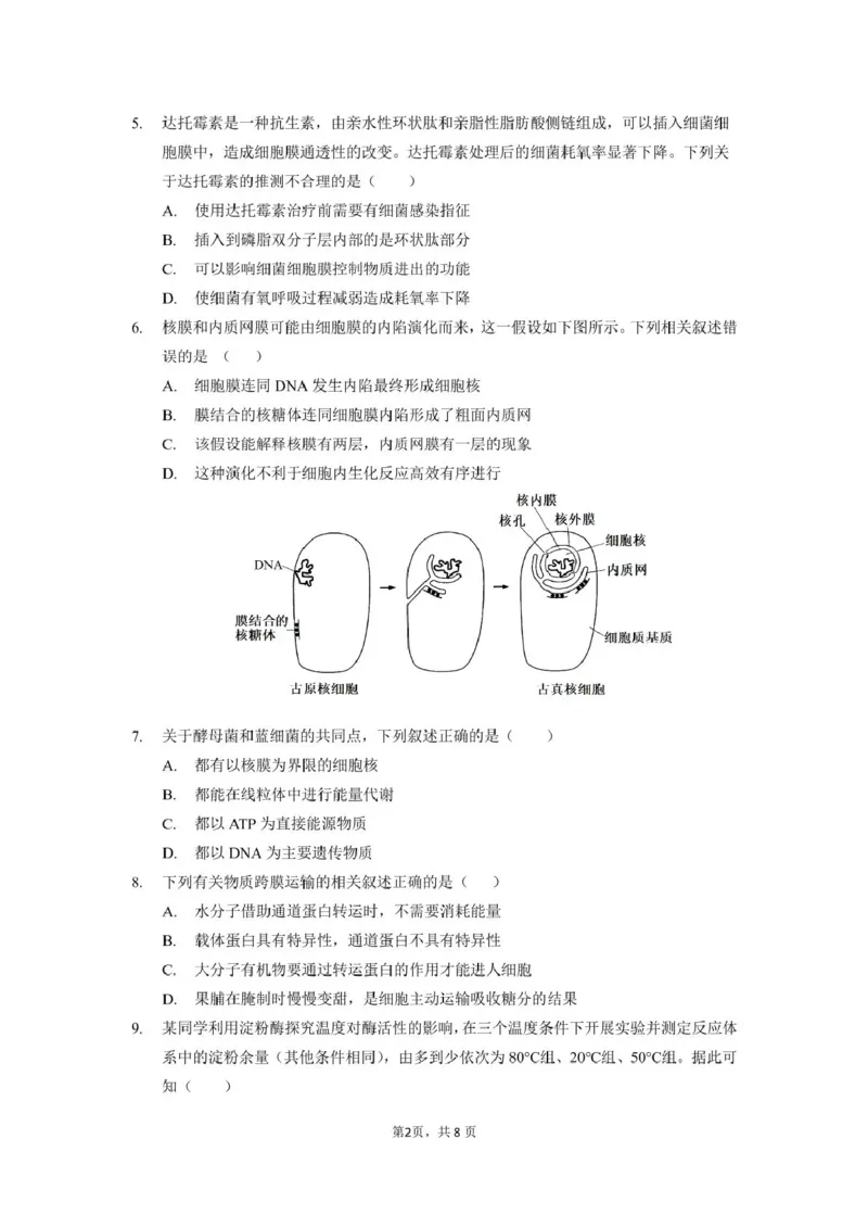 生物_2025年03月试卷_0304广东实验中学2024-2025学年高一下学期开学考试_广东省广州市越秀区实验中学2024-2025学年高一下学期开学考试生物学试题（PDF版，含答案）