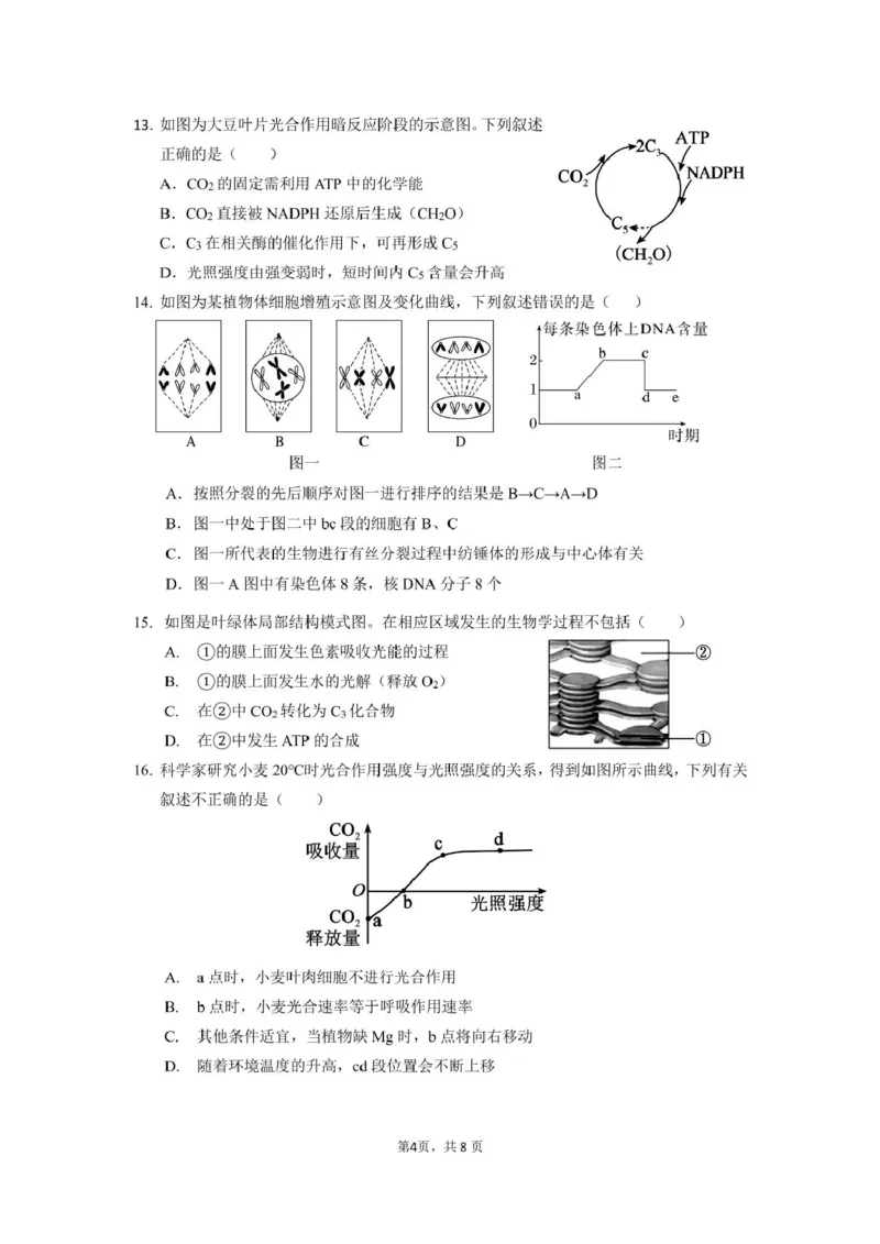 生物_2025年03月试卷_0304广东实验中学2024-2025学年高一下学期开学考试_广东省广州市越秀区实验中学2024-2025学年高一下学期开学考试生物学试题（PDF版，含答案）