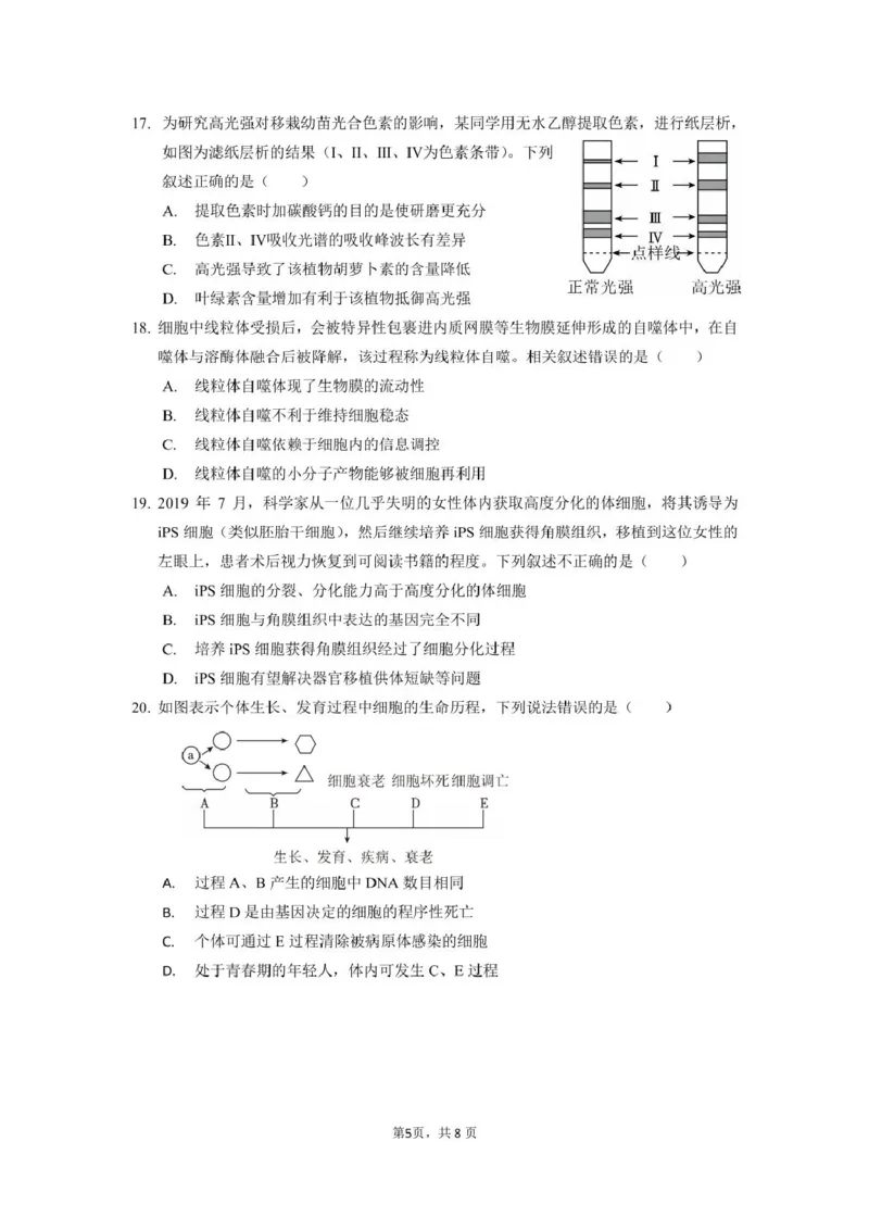 生物_2025年03月试卷_0304广东实验中学2024-2025学年高一下学期开学考试_广东省广州市越秀区实验中学2024-2025学年高一下学期开学考试生物学试题（PDF版，含答案）