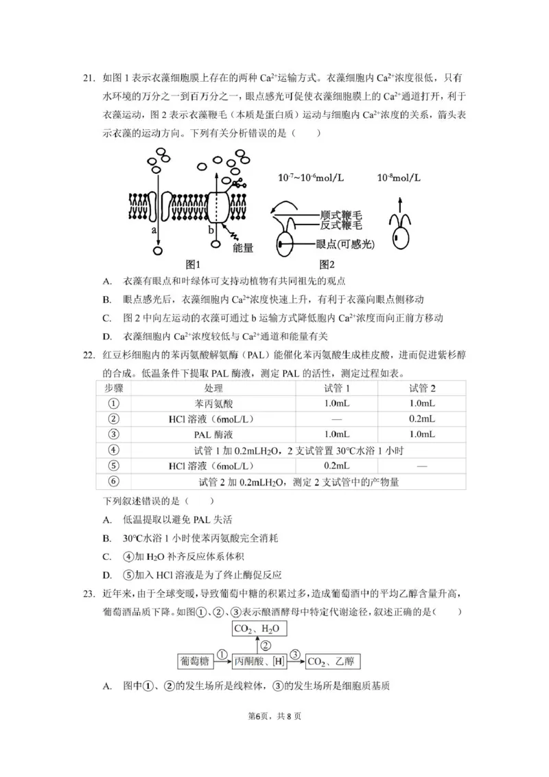生物_2025年03月试卷_0304广东实验中学2024-2025学年高一下学期开学考试_广东省广州市越秀区实验中学2024-2025学年高一下学期开学考试生物学试题（PDF版，含答案）