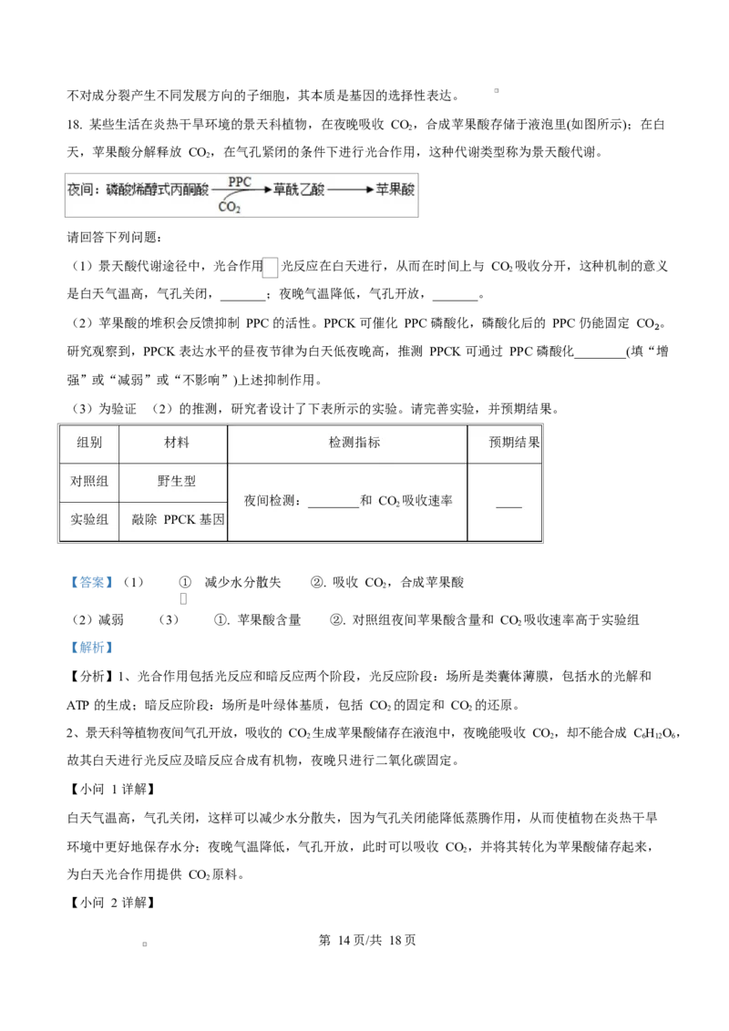 福建省厦门市2024-2025学年高一上学期1月期末生物试题Word版含解析_2025年03月试卷_0303福建省厦门市2024-2025学年高一上学期1月期末考试