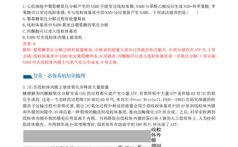 第11讲细胞代谢综合分析（讲义）（教师版）_新高考复习资料_2024年新高考复习资料_一轮复习资料_完2024年高考生物一轮复习讲练测(课件+讲义+练习)（新高考）_讲义+练习